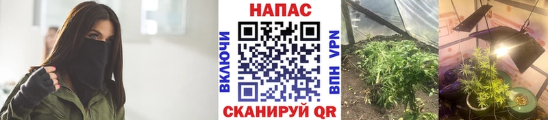 ГЕРОИН Куровское